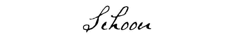 Schoon