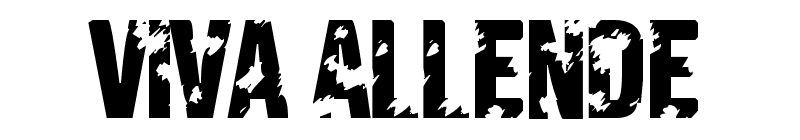 Viva Allende