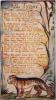 William Blake - Tyger