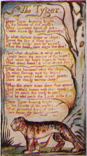 William Blake - Tyger